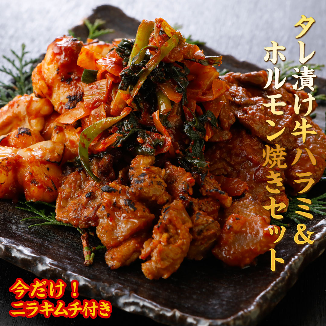 タレ漬け牛ハラミ＆ホルモン焼きセット（冷凍）