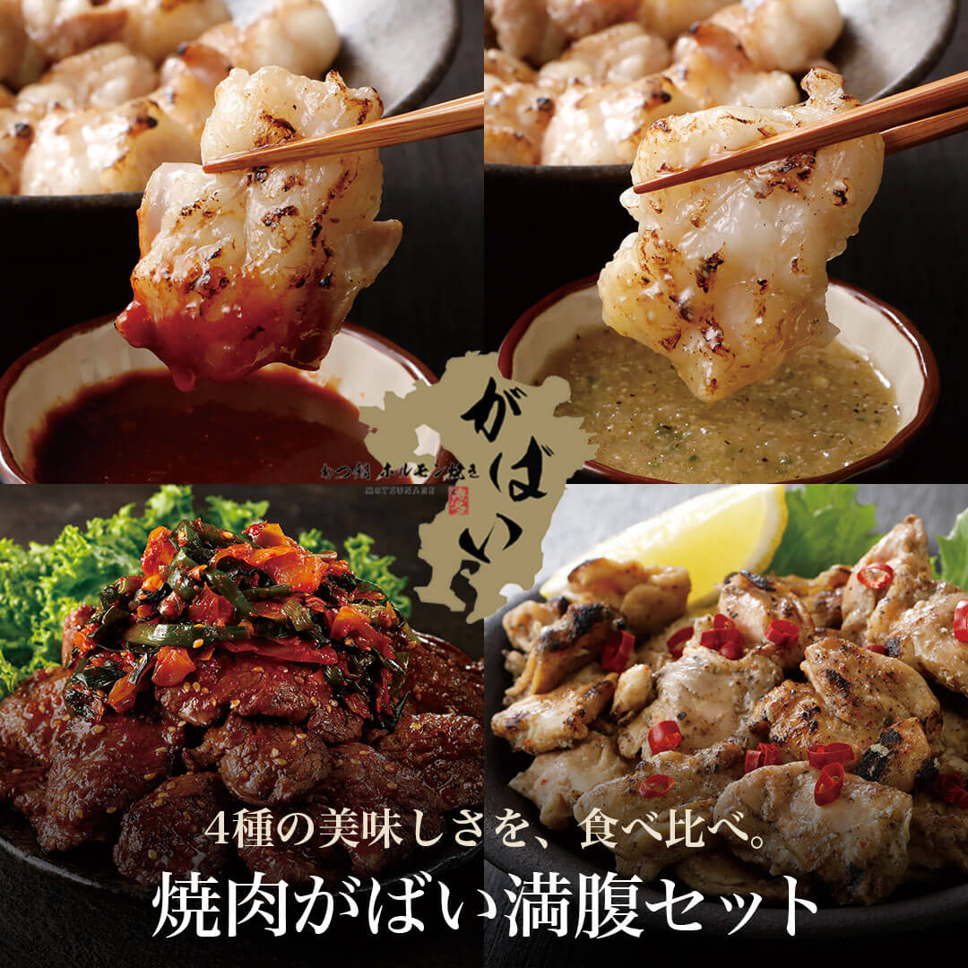 焼肉がばい満腹セット（冷凍）